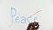 Peace word crossed out on glass, endless world wars and humanity problems