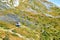 Peaceful abandoned old cottage at summer sunset in the mountains. Country house in the village. Wooden cottage on the mountain