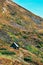 Peaceful abandoned old cottage at summer sunset in the mountains. Country house in the village. Wooden cottage on the mountain