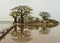 Peaceful african landscape near Sine Saloum, Senegal, Africa