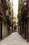 A peaceful alleyway in El Born, Barcelona, Spain, provides a tranquil escape from the busy city streets