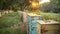 Peaceful apiary among wildflowers. Bee hives in a sunlit meadow. Beekeeping. Concept of apiculture, honey farming