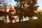 Peaceful autumn landscape with a house surrounding by golden trees and beautiful lake