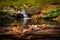 Peaceful autumn river waterfall with golden leafs