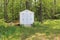 Peaceful backyard scene with small shed tucked in corner of landscaped yard