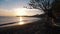 Peaceful beach landscape at sunrise