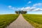 Peaceful and beautiful landscape view of a gravel walkway up a grassy hill.