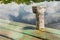 Peaceful boat dock on pond