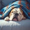Peaceful bulldog napping under a warm blanket in tranquil slumber