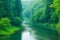 Peaceful and calm river run through forest Spring