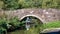 Peaceful canal scene