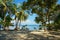 Peaceful Caribbean beach with shade trees and boat