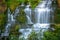 Peaceful Cascading Waterfall in The Rain Forest