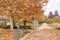 Peaceful and colorful trees in the Herastrau park in Bucharest, or King Michael I Park, a large park on the northern side of