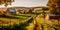 peaceful countryside Labor Day background featuring farms, barns, and rolling hills, illustrating the importance of