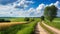 Peaceful countryside, landscape of green nature with a road.