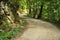 Peaceful countryside road in Cheile Nerei Natural Reservation