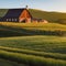 A peaceful countryside with a rustic farmhouse and a barn4, Generative AI