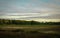 Peaceful cranberry bog landscape with dramatic cloudscape on Cape Cod at sunset