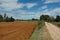 Peaceful Croatian countryside in Istria with agricultural red land, an unsurfaced gravel road and lush vegetation, Croatia