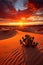 A peaceful desert landscape with sand dunes, a vivid orange sunset, and a few cacti in the foreground