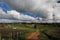 Peaceful Devon Valley farming landscape