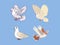 Peaceful Dove Illustration