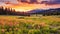 Peaceful evening landscape of calming sunset over a wildflower meadow in the Rocky Mountains