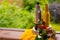 Peaceful Fall berries, Leaf, Acorn, scarf as Still Life on Rustic Wooden Cut Tree Trunk and nature Background. Copy