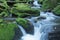 Peaceful flowing stream in the forest