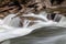 Peaceful flowing stream in mountains