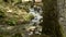 Peaceful forest landscape. A man is walking in background. Small river cascade falls over rocks