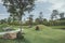 Peaceful garden with a freshly mown lawn. Landscape, park