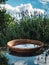 Peaceful garden oasis with birdbath