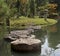 Peaceful Garden Path Stepping Stones