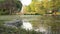 A peaceful garden scene, bushes, trees and a quiet water lake pond.