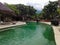 Peaceful Garden Swimming Pool Landscape View Of The Resort At Pemuteran