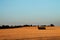 Peaceful golden field at sunset in rural England