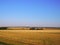 Peaceful golden hour in the field landscape, meadow, grassland, field, grass, lea, mead