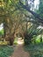 Peaceful graveyard with overgrown trees in cambridge