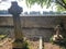 Peaceful graveyard with overgrown trees in cambridge