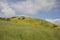 Peaceful hiking trail during a cloudy day in the spring