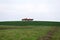 Peaceful idyllic landscape with young chestnut mares on the hill