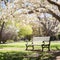 A peaceful image of a lone park bench nestled among blooming trees and lush greenery,