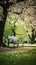 A peaceful image of a lone park bench nestled among blooming trees and lush greenery,