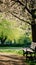 A peaceful image of a lone park bench nestled among blooming trees and lush greenery,