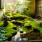 a peaceful Japanese indoor garden with stone and water, generative AI