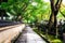 Peaceful Japanese public garden in Japan