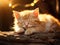 Peaceful Kitten Slumbering in Warm Light. Generative AI
