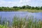 A peaceful lake close to Brevard zoo entrance